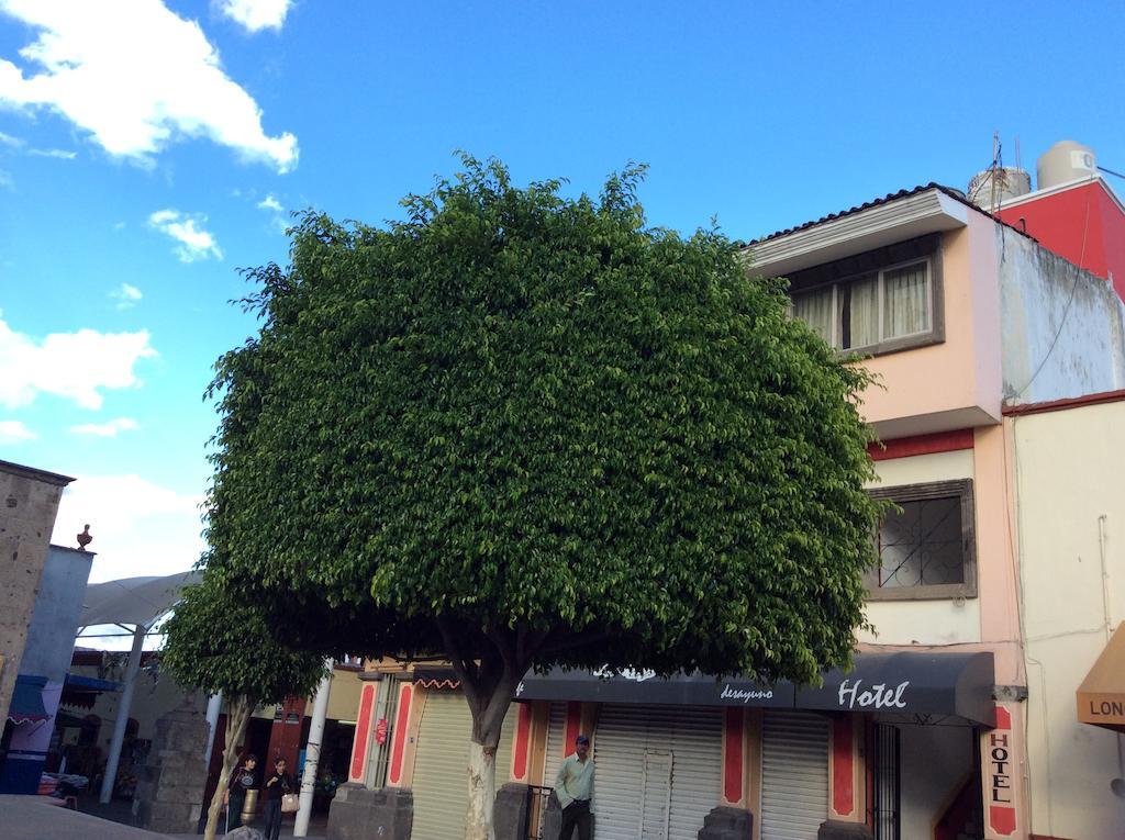 Hotel San Francisco Tequila Dış mekan fotoğraf